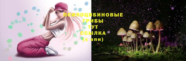 дмт Вязьма