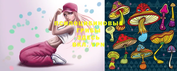 шишки Данков