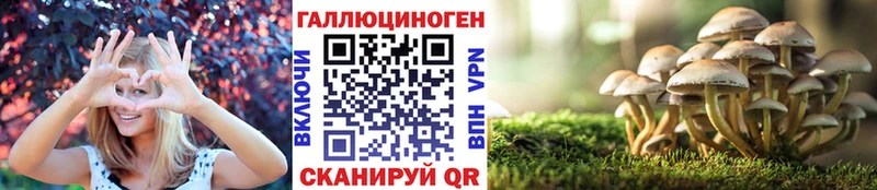 Псилоцибиновые грибы ЛСД  где купить наркоту  Истра 